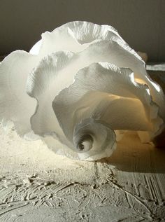 a large white flower sitting on top of a wooden table