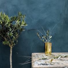 two vases with plants in them sitting on a table next to a blue wall