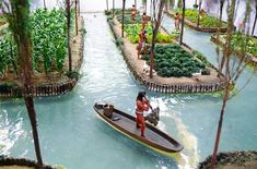 a woman standing on the back of a boat in a river filled with plants and trees