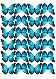 blue butterflies are arranged in rows on a white background, with one large and two small ones