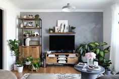 a living room filled with furniture and lots of plants on top of shelves next to a flat screen tv