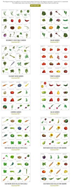 the different types of vegetables and their names