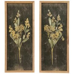 two framed pictures with yellow flowers on black paper, one is green and the other is brown