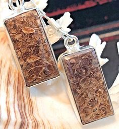 Fossil Earrings, Agate Gemstone, Tan Color, Rectangle Shape, Last Minute Gifts, Gemstone Earrings, Fossil, Jewelry Earrings Dangle, Etsy Accessories