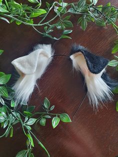 two white and black feathers on top of a wooden table next to green plants with leaves