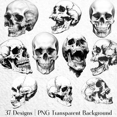 skulls with different facial expressions are shown in black and white, as well as an image of