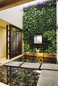 an indoor pond with rocks and plants growing on the wall