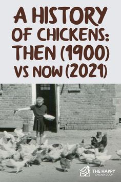 Sustainable Farm, Crazy Chicken, Chicken Garden, Diy Chicken, Coop Plans, Crazy Chicken Lady, Chicken Meat, Chicken Lady