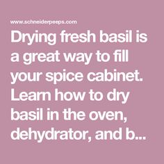 the words drying fresh basil is a great way to fill your spice cabinet learn how to dry basil in the oven, dehydraator, and b