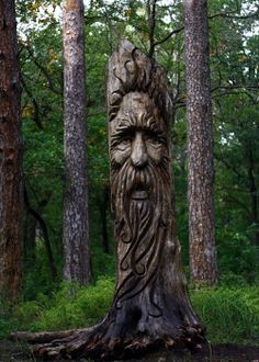 a tree stump with a face carved into it's trunk in the middle of a forest