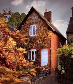 an old brick house with ivy growing on it's side