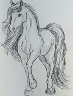 a drawing of a horse with long manes