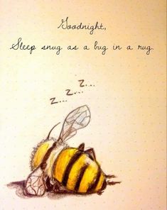 a drawing of a bee laying on its side with the words sleep sing as a bug in a rug