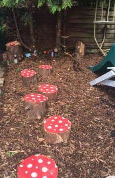 some red and white mushrooms are in the dirt near a tree stumps with holes on them