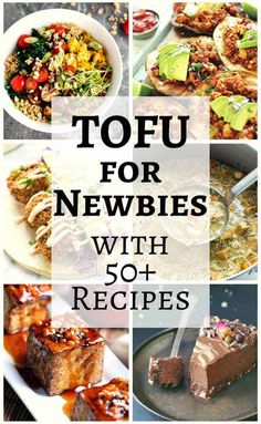 the top 10 newbies with 50 + recipes