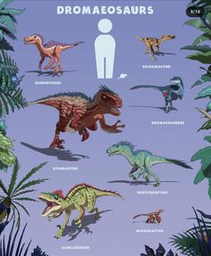 an illustrated poster with different types of dinosaurs