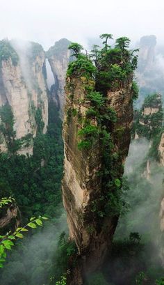 the mountains are covered in thick vegetation and trees, while fog hangs over them from the tops