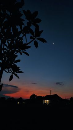 the sun is setting behind a tree and some buildings in the distance with a house on it