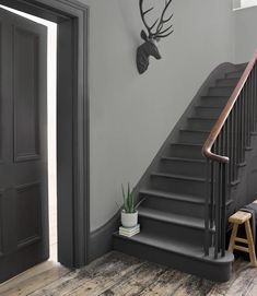 an entryway with stairs and a deer head mounted on the wall next to it