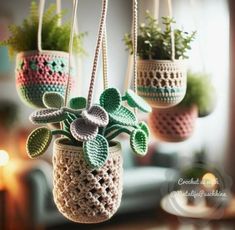 three crocheted hanging planters with plants in them