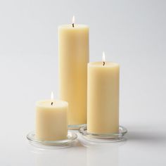 richland pillar candles 3 x3 3 x6 3 x9 ivory set of 3 Beige Candles, Bouquet Succulent, Contemporary Candles, Ivory Pillar Candles, Glass Pillar Candle Holders, Den Decor, Home Weddings, Candle Shades, Modern Candles