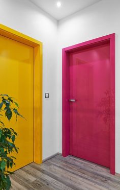 two brightly colored doors in a white room with wood flooring and plant on the side