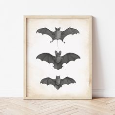 Goth Wall Art | Vintage Bat Illustration | Ollie + Hank Bat Illustration, Goth Wall Art, Halloween Wallpaper Cute, Eclectic Gallery Wall, 11x14 Print, 5x7 Print, Printed Art, Wall Art Vintage, Art Prints For Home