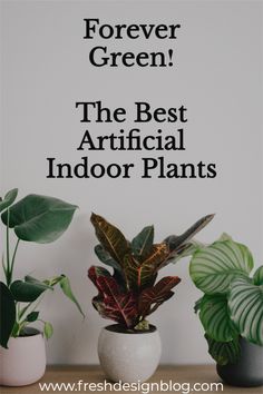 the best artificial indoor plants for your home