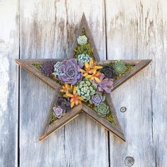 a wooden star decorated with succulents and moss