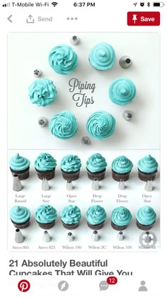 an image of cupcakes with blue icing on them and the words piping tips