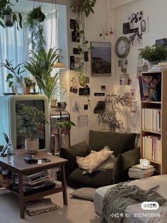 a living room filled with furniture and lots of plants