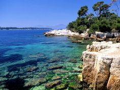 the water is crystal clear and blue with green algae growing on it's rocks