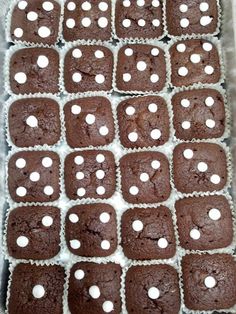 chocolate cupcakes with white polka dots in a box