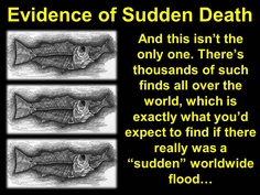 Proof of The Flood Blurry Creatures, Biblical Creation, History Questions, The Flood, Bible Knowledge