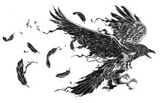 a black and white drawing of a bird flying through the air with its wings spread