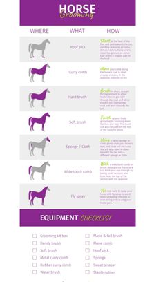 the horse checklist is shown in purple and white, with different horses on it