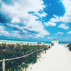 a sandy path leading to the beach with blue skies and white clouds in the background