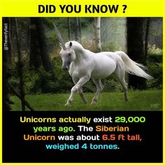 a unicorn is running through the grass with trees in the background and text that reads, did you know? unicorns actually exit 25, 000 years ago