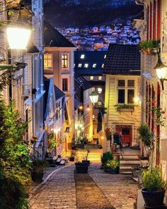 a cobblestone street with potted plants on either side and lights at the end