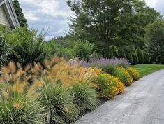 a gravel road surrounded by lots of plants and flowers in front of a house on a cloudy day