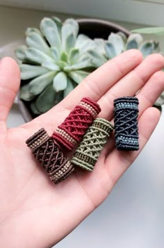 three crocheted rings sitting on someone's hand next to a succulent plant