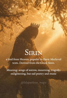 an image of a bird with the words, srin on it's back