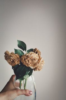 a hand is holding a vase with flowers in it and the bottom half has green leaves