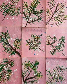 four different pictures of pine branches on pink paper with glitters and white flakes