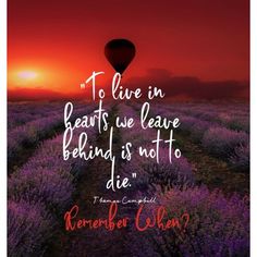 a hot air balloon flying over lavender fields with the quote to live in beauts we leave behind is not to die