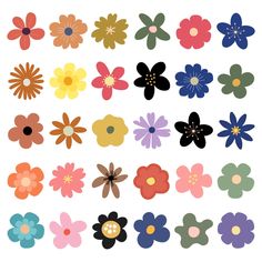 an assortment of different colored flowers on a white background