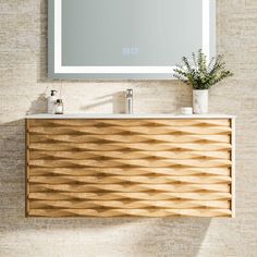 a bathroom vanity with a mirror above it and a plant on the counter next to it