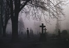 a cemetery with tombstones and trees in the background on a foggy day at night