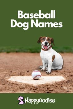 a dog sitting on top of a baseball field with the words happydogies in front of it