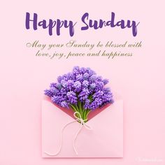 a bouquet of lavenders in an envelope on a pink background with the words happy sunday